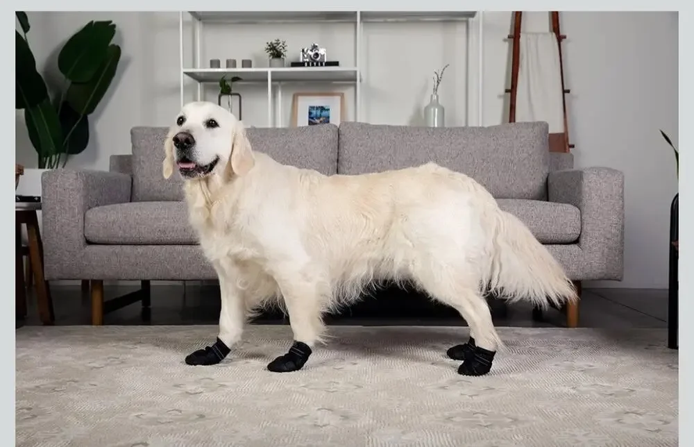 Versa Vine Premium Dog Shoes Size:Medium/ Large Dogs Set of 4
